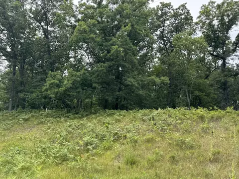 Undisclosed, Chase, MI 49623 photo 15