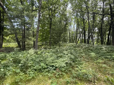 Undisclosed, Chase, MI 49623