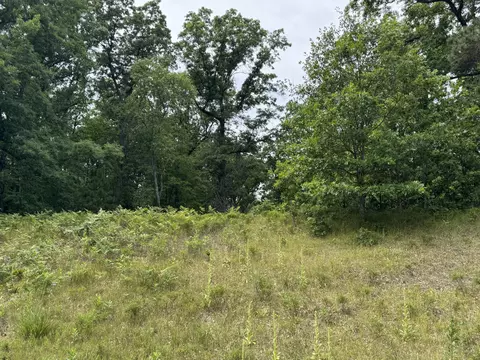 Undisclosed, Chase, MI 49623 photo 17