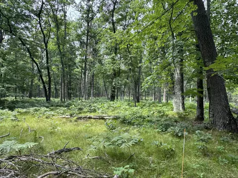 Undisclosed, Chase, MI 49623 photo 19