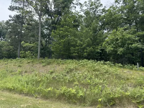 Undisclosed, Chase, MI 49623 photo 27