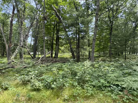 Undisclosed, Chase, MI 49623 photo 16