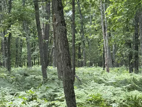 Undisclosed, Chase, MI 49623 photo 24