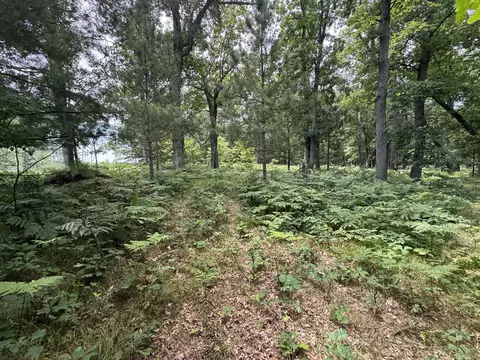 Undisclosed, Chase, MI 49623 photo 2
