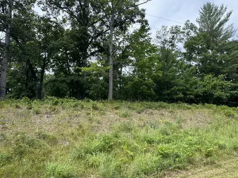 Undisclosed, Chase, MI 49623 photo 13