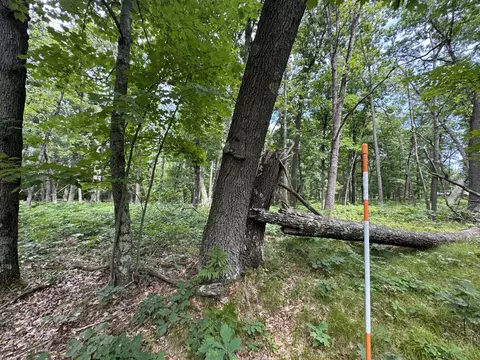 Undisclosed, Chase, MI 49623 photo 23