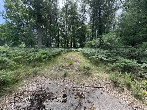 Undisclosed, Chase, MI 49623 photo 10
