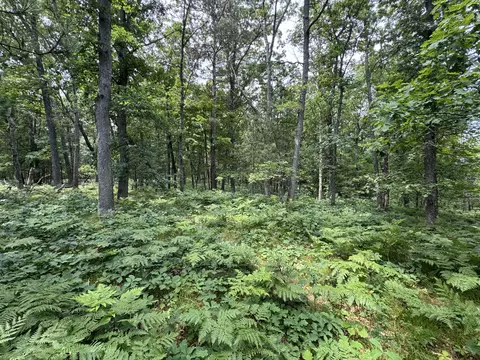 Undisclosed, Chase, MI 49623 photo 3