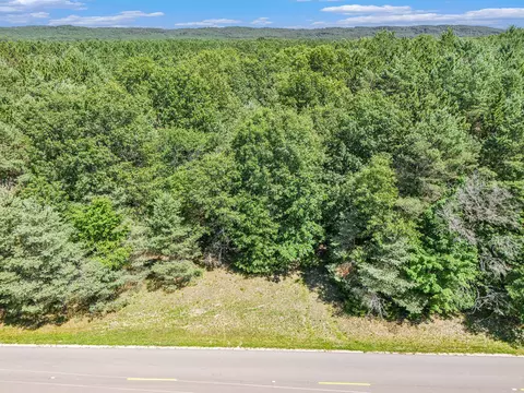 Parcel D 52nd Avenue, Mears, MI 49436 photo 2