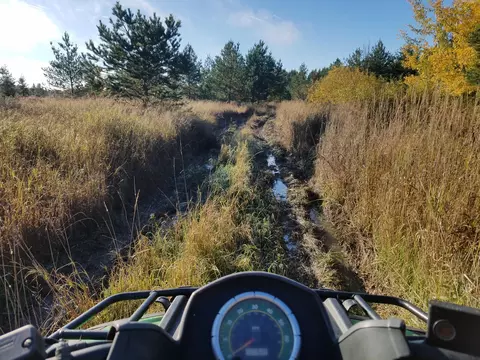 E 15 Mile Road, Barbeau, MI 49710