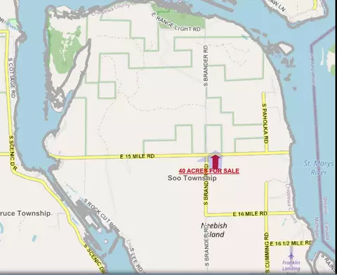 E 15 Mile Road, Barbeau, MI 49710
