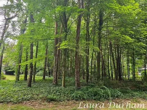 3365 Clearview Lane, Saugatuck, MI 49453
