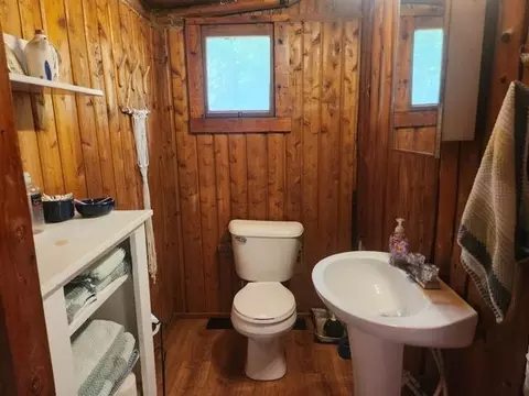 Bath - 7306 W Erik Ln, Baldwin, MI 49304 photo 1 of 2