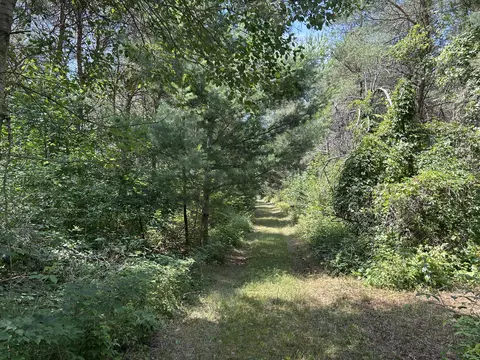 V/l Old Rugged Lane, Reed City, MI 49677