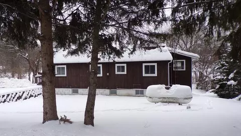 7330 N Central Ave, Brohman, MI 49312