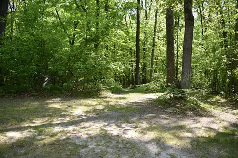 2186 88th St, Bitely, MI 49309 photo 12