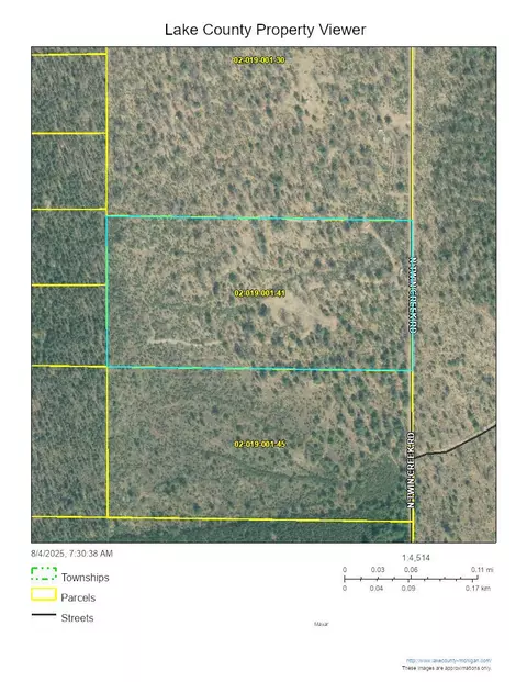 N Twin Creek Road, Luther, MI 49656