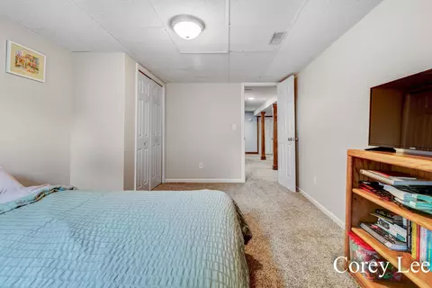 6017 Reeder Rd, Lyons, MI 48851 photo 28