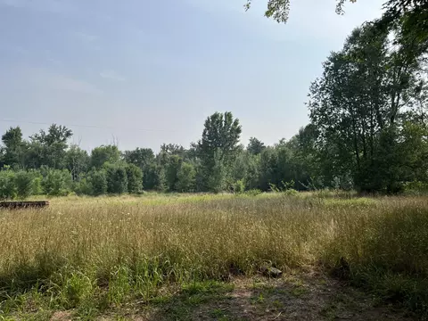 V/l Phelps Avenue Nw, Sparta, MI 49345