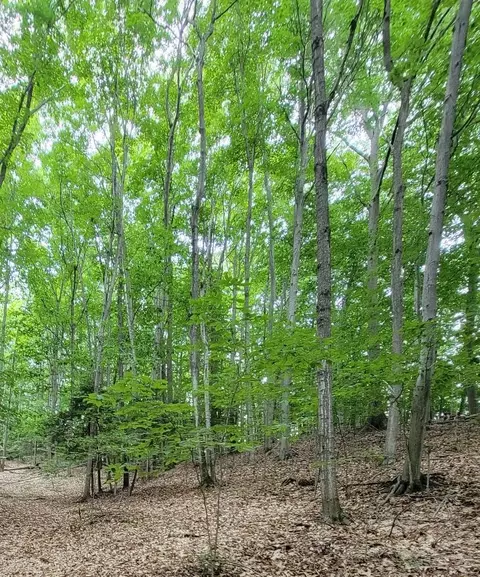 M22 Northwood Hwy, Arcadia, MI 49613 photo 5