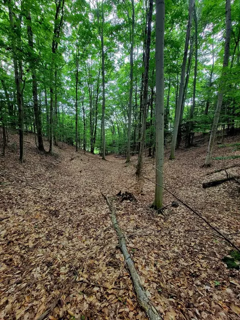 M22 Northwood Hwy, Arcadia, MI 49613 photo 6