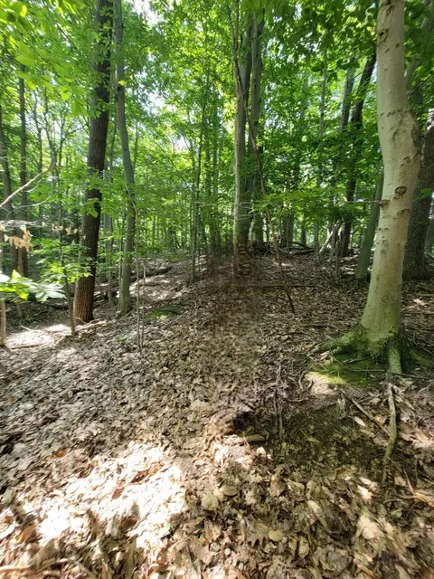 M22 Northwood Hwy, Arcadia, MI 49613 photo 9