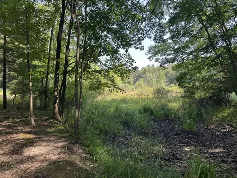 V/l W Fruitvale Road, Montague, MI 49437
