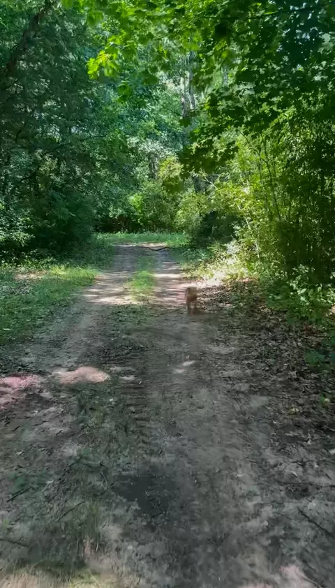 0 S Sutton Rd, Jackson, MI 49203 photo 6
