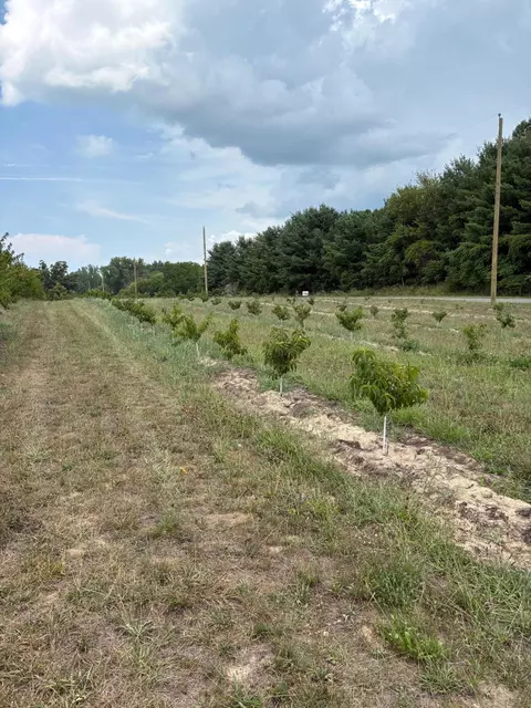 Vl S Arent Road, Watervliet, MI 49098 photo 6