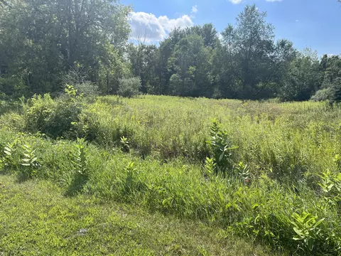 V/l 3rd St, Edmore, MI 48829 photo 2