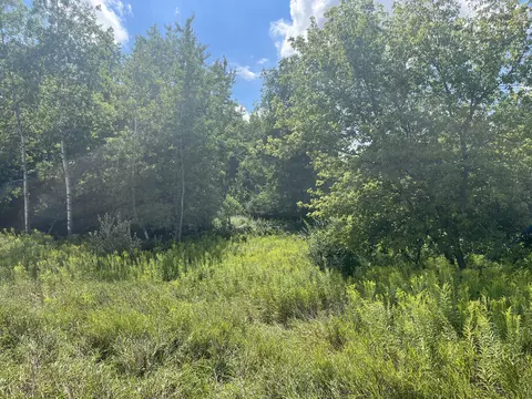 V/l 3rd St, Edmore, MI 48829 photo 4