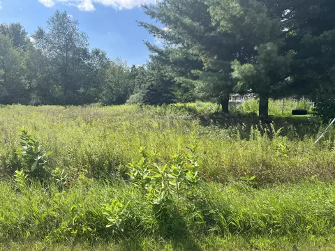 V/l 3rd St, Edmore, MI 48829 photo 6