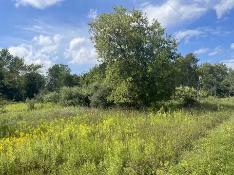V/l 3rd St, Edmore, MI 48829 photo 3