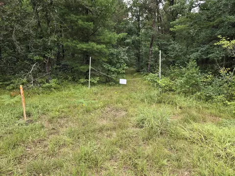 V/l E 44th, Idlewild, MI 49642