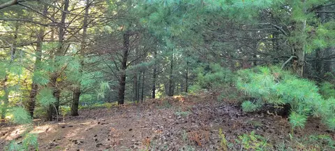 n juniper street LOT 1, Mears, MI 49436