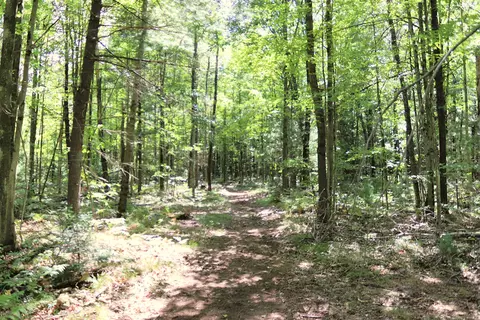 10757 Cedar Rd, Lake, MI 48632 photo 31