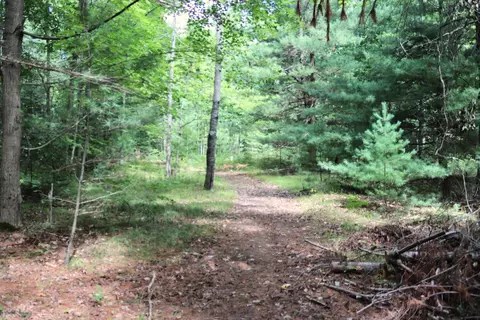 10757 Cedar Rd, Lake, MI 48632 photo 37
