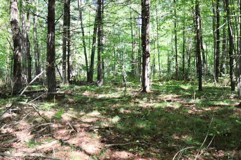 10757 Cedar Rd, Lake, MI 48632 photo 35