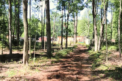 10757 Cedar Rd, Lake, MI 48632 photo 40
