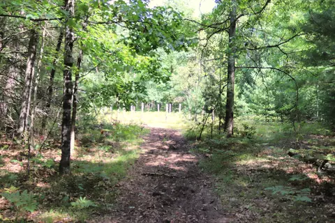 10757 Cedar Rd, Lake, MI 48632 photo 38