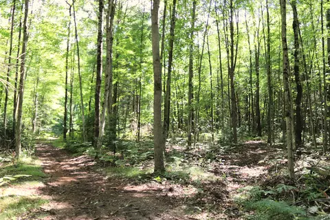 10757 Cedar Rd, Lake, MI 48632 photo 32