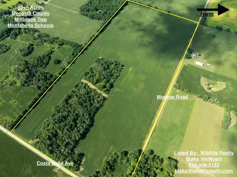 80 Acres Monroe Rd, Blanchard, MI 49310