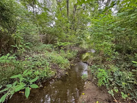 4181 E Mount Morris Rd, Mount Morris, MI 48458 photo 29