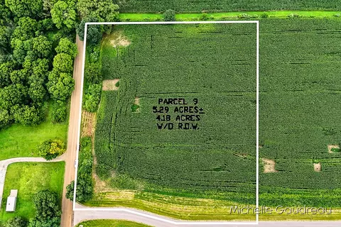 VL Gibson Farms Drive #PARCEL 9, Middleville, MI 49333