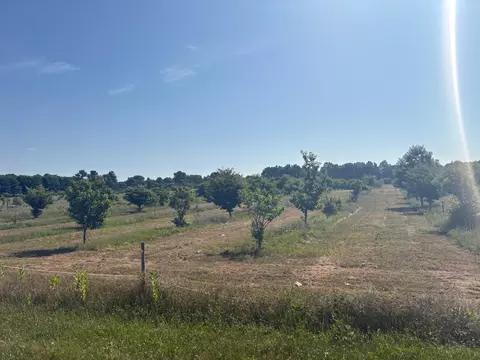 Leach Rd, Dowagiac, MI 49047