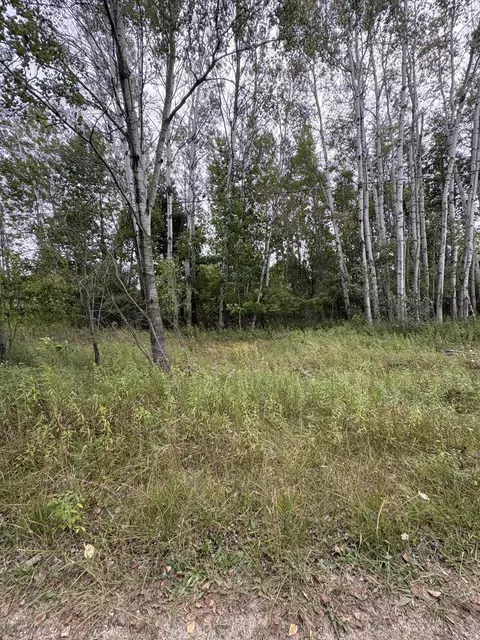 coocpa- lake miramachi LOT S 455, Evart, MI 49631