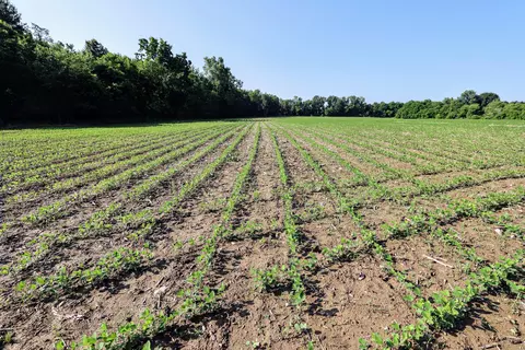 Vl Tucker Rd Lot #wp001, Eaton Rapids, MI 48827