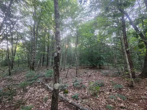 V/l Whitmire Road, Holton, MI 49425