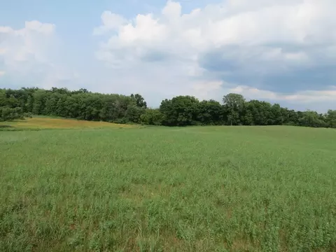 0 E South St, Jackson, MI 49201 photo 4