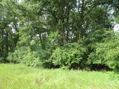 0 E South St, Jackson, MI 49201 photo 11